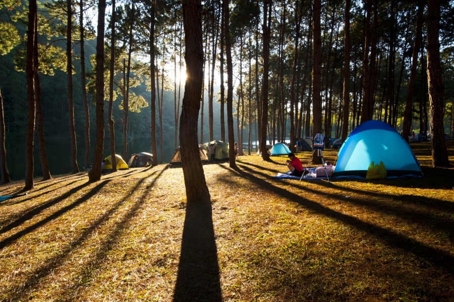 camping a calvi en bord de me